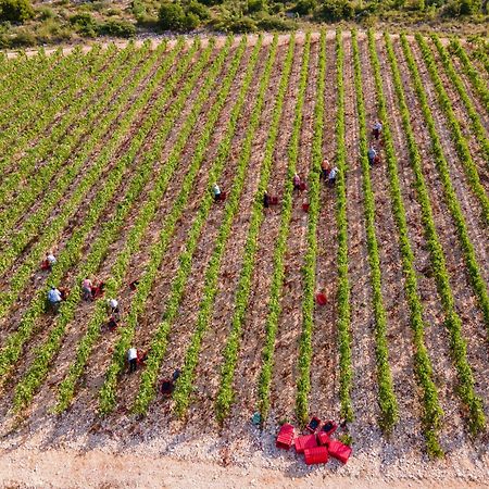 Winery Rizman B&B Slivno Ravno Ngoại thất bức ảnh